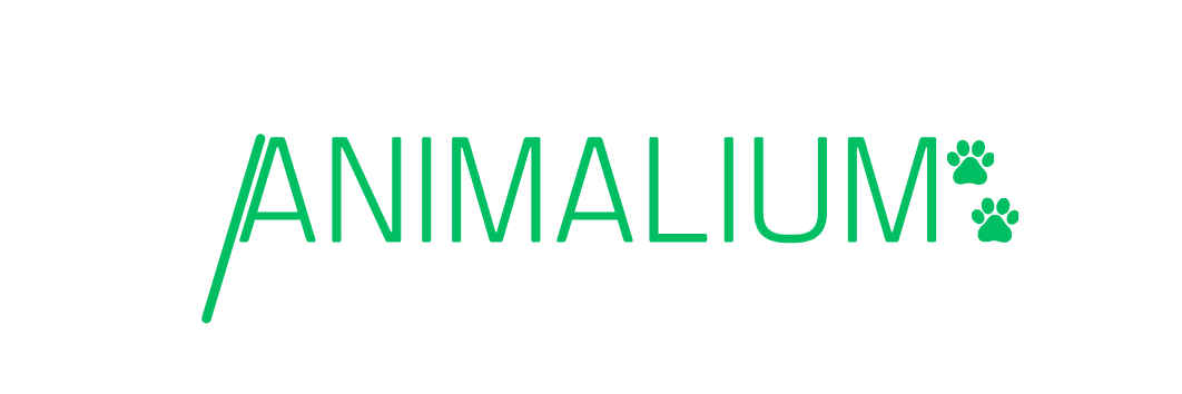 Animalium